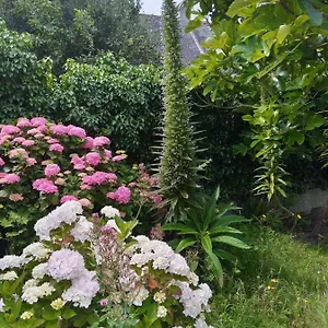  Hébergement de vacances Maison Avec Jardin Proche